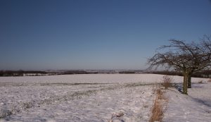 orsett fen