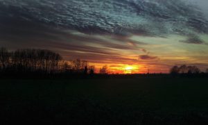 orsett fen