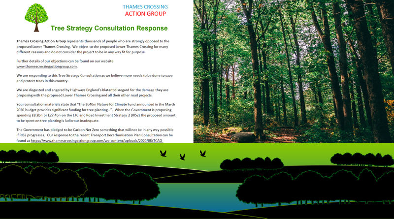 Tree Strategy Consultation Response