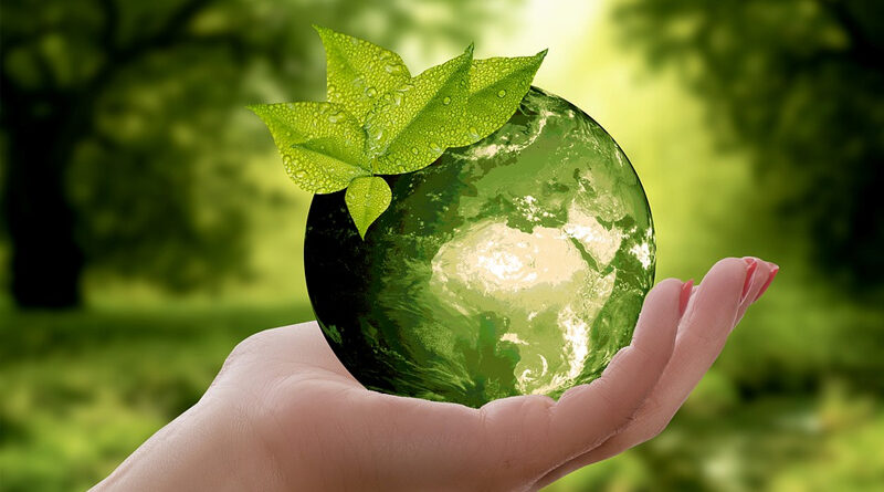 What does sustainability mean to LTC Contractors - a hand holding a sphere that looks like a green globe style crystal ball with a leaf balanced on top on a green nature background