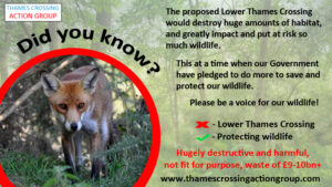 LTC Wildlife impacts
