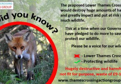 LTC Wildlife impacts