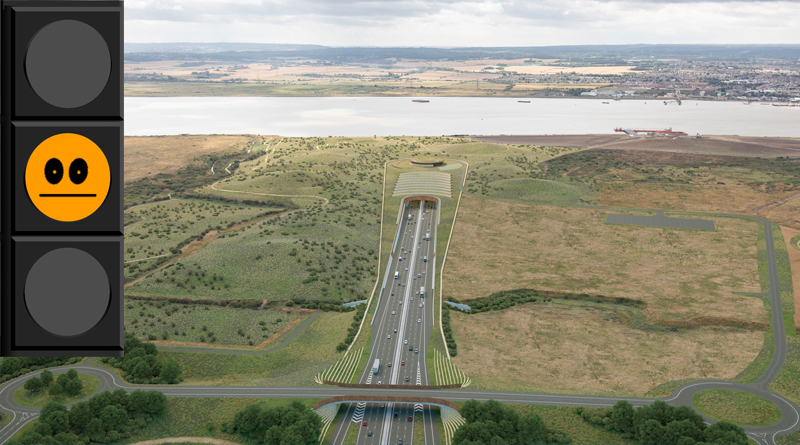 TCAG statement on Lower Thames Crossing DCO decision delay